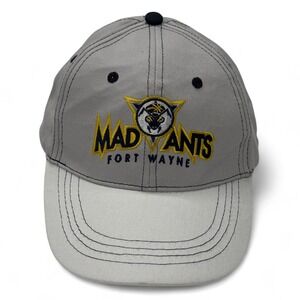 Fort Wayne Mad Ants Baseball Cap Gray Embroidered Logo Mens Adjustable